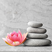 12. Womens Wellness Package